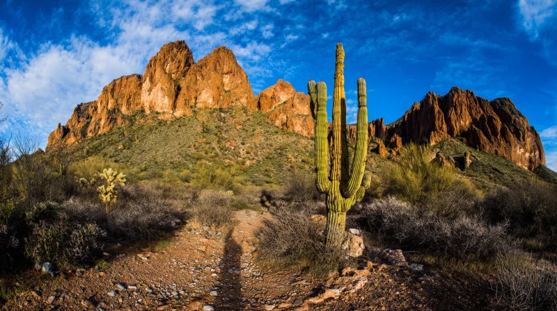 Arizona