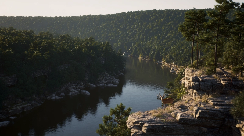 Arkansas